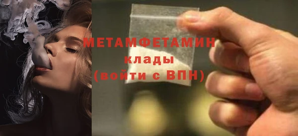 прущие грибы Валдай