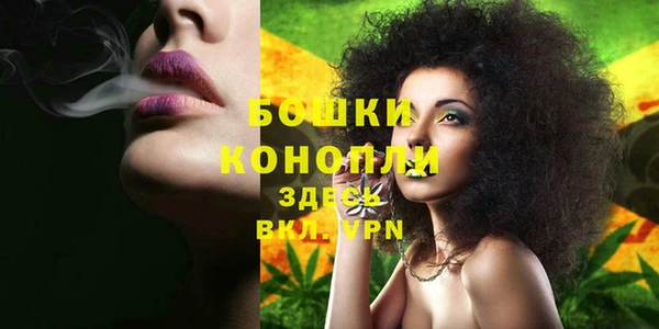 MDMA Новодвинск