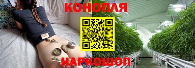 гашик Гусь-Хрустальный
