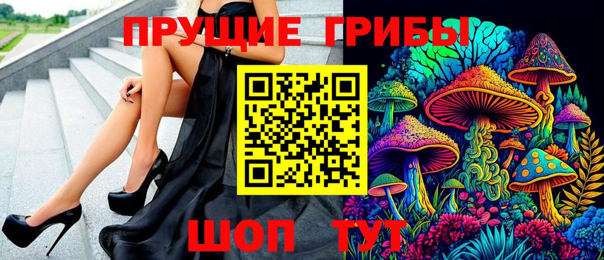 Зерноград  Псилоцибиновые грибы Psilocybine cubensis  Псилоцибиновые грибы GOLDEN TEACHER  Вход с VPN 